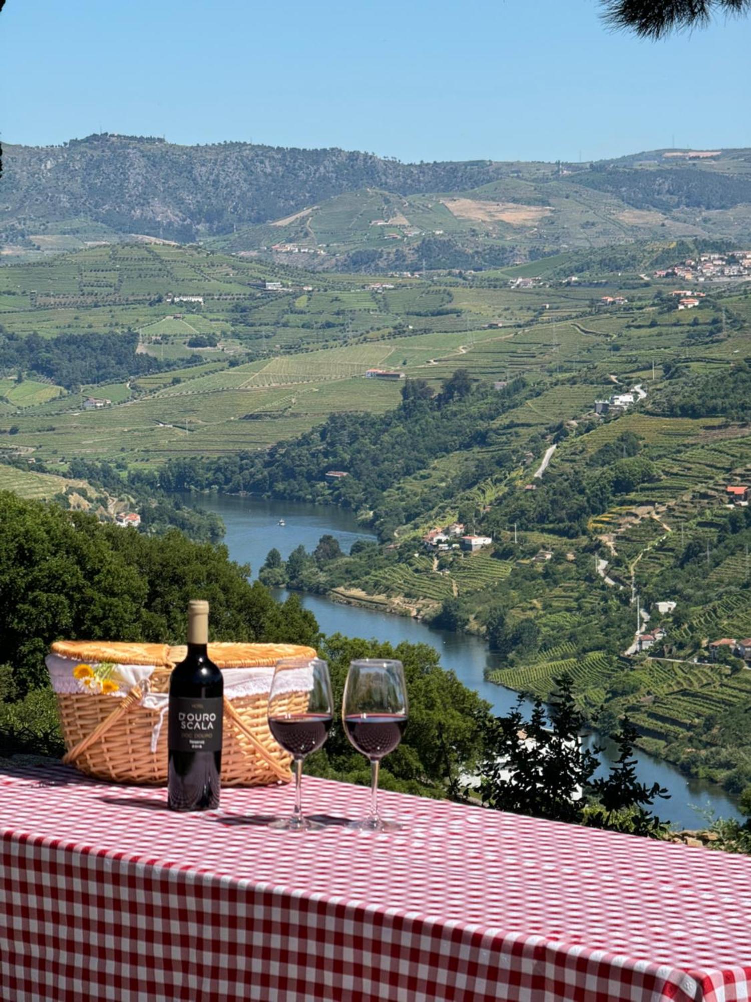 Douro Scala Hotel Mesao Frio Ngoại thất bức ảnh Douro River